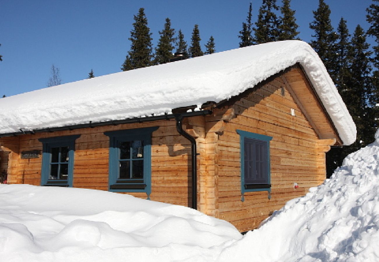 House in Svenstavik - Oviksfjällen