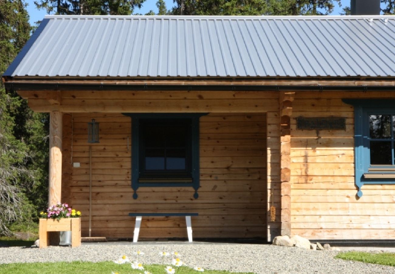 House in Svenstavik - Oviksfjällen