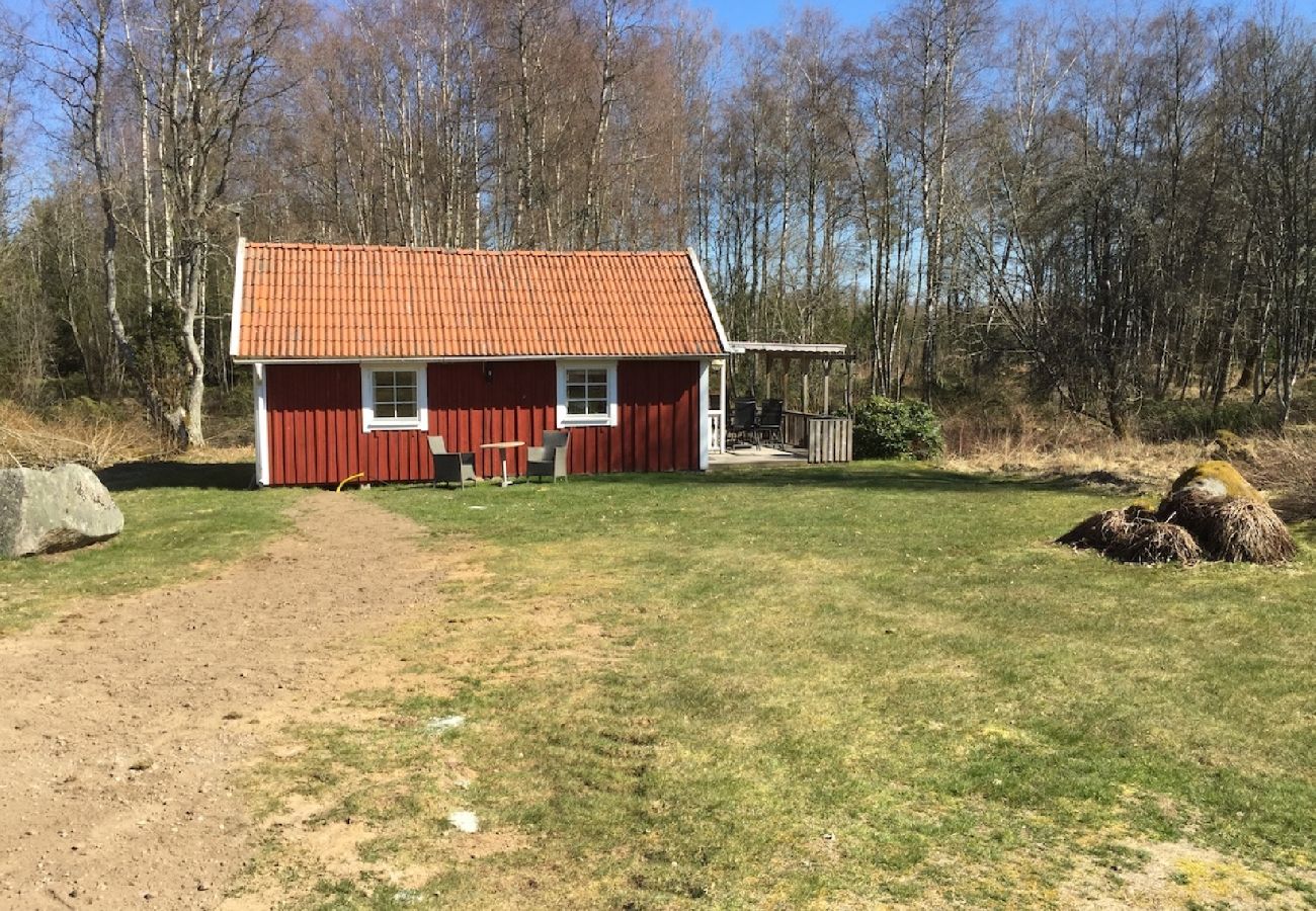 House in Vederslöv - Lake-close location in Småland
