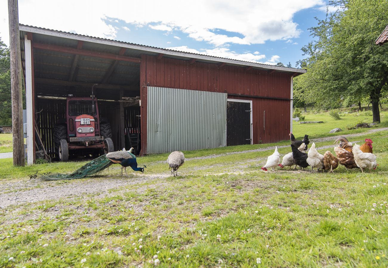 House in Valdemarsvik - Modern holiday home with boat and WiFi in the countryside