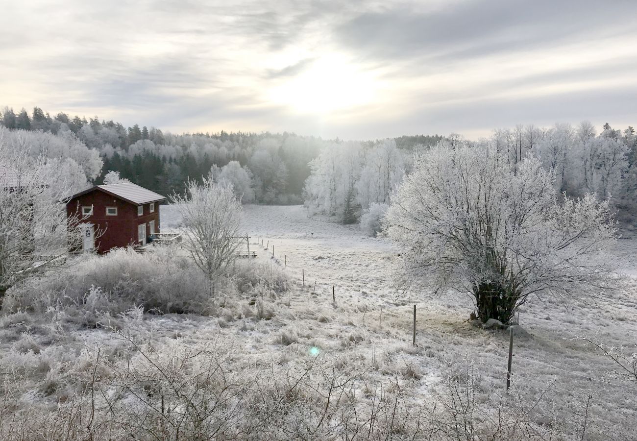 House in Valdemarsvik - Modern holiday home with boat and WiFi in the countryside