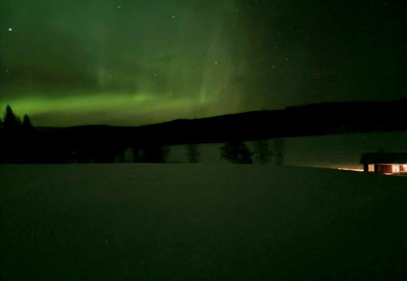 House in Gällö - Holiday home with lake view in Jämtland