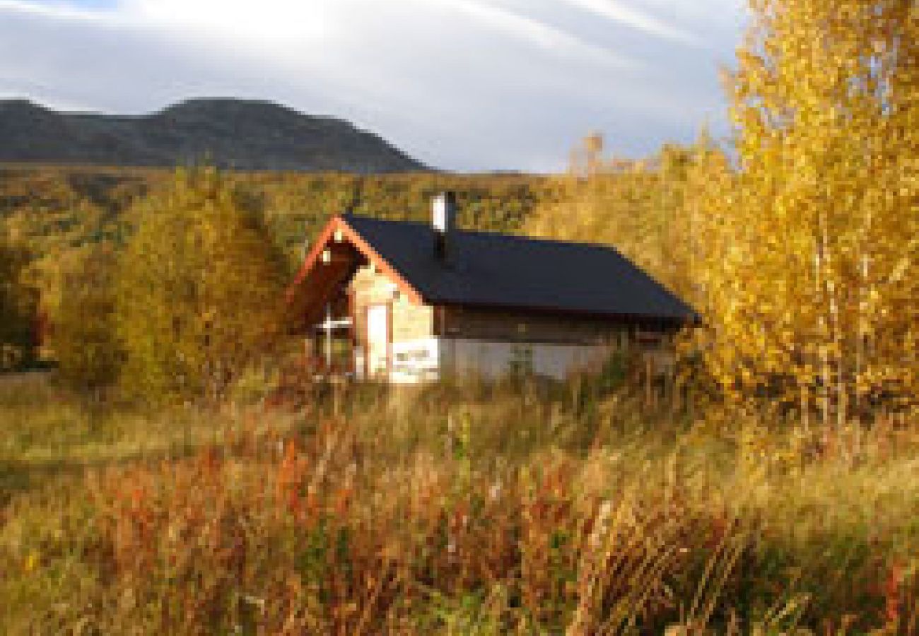 House in Dikanäs - Timmerstuga Kittelfjäll