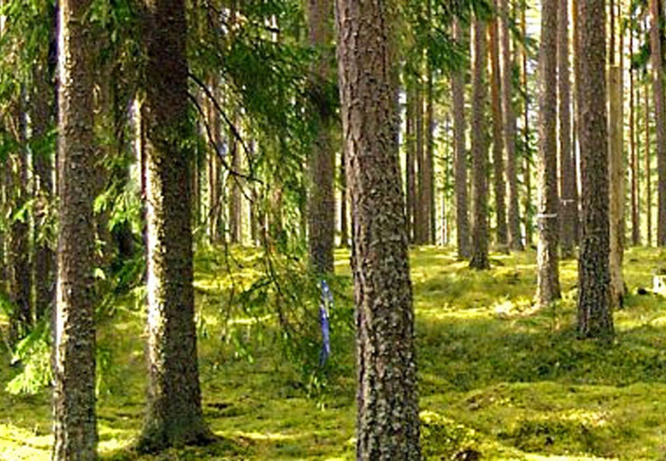 House in Svartsjö - Nature and city vacation near Stockholm in the countryside