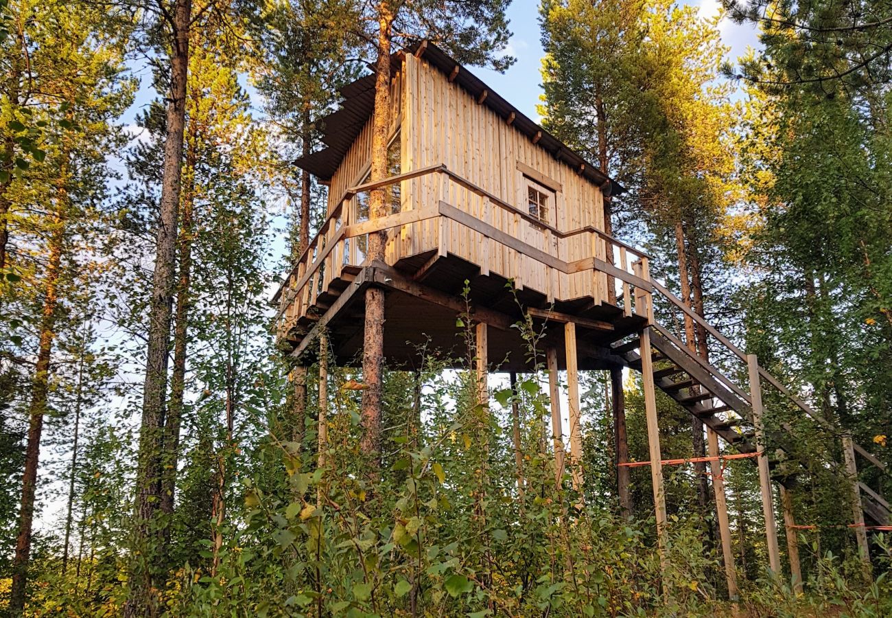 House in Arvidsjaur - High in the trees in northern Sweden with lake views and moose under the terrace