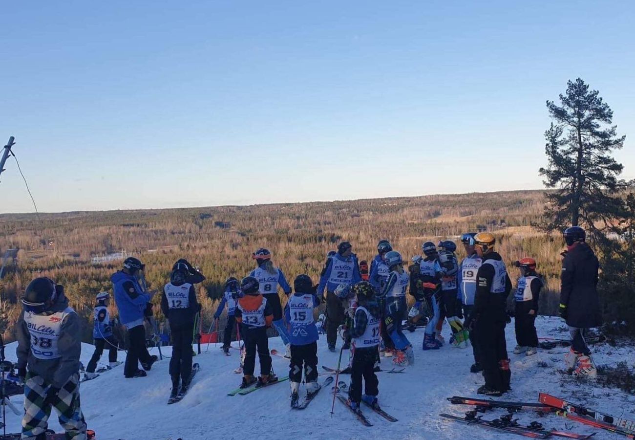 Stuga i Skinnskatteberg - Stuga precis vid sjön i Bergslagen med bastu och båt