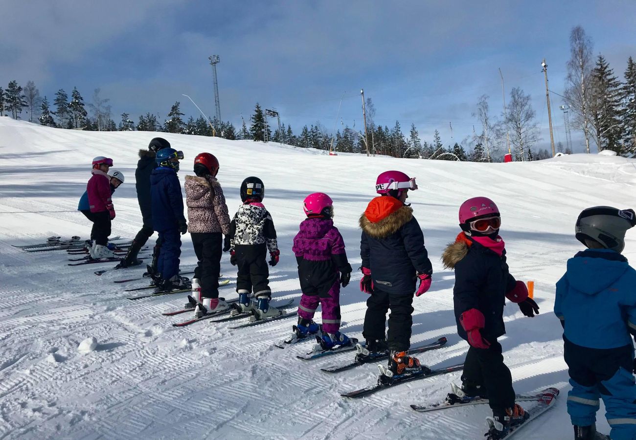 Stuga i Skinnskatteberg - Stuga precis vid sjön i Bergslagen med bastu och båt