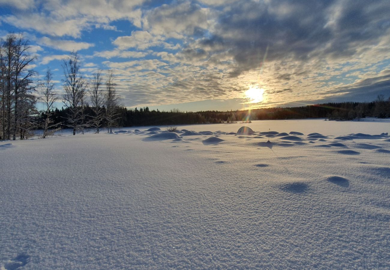 Stuga i Skinnskatteberg - Stuga precis vid sjön i Bergslagen med bastu och båt