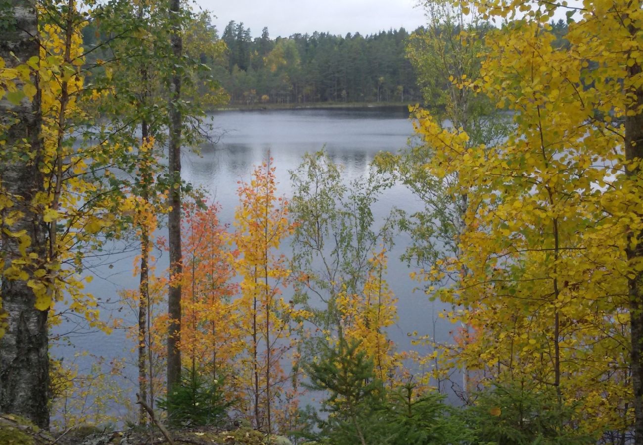 Stuga i Nordmarkshyttan - Villa Stjälpet