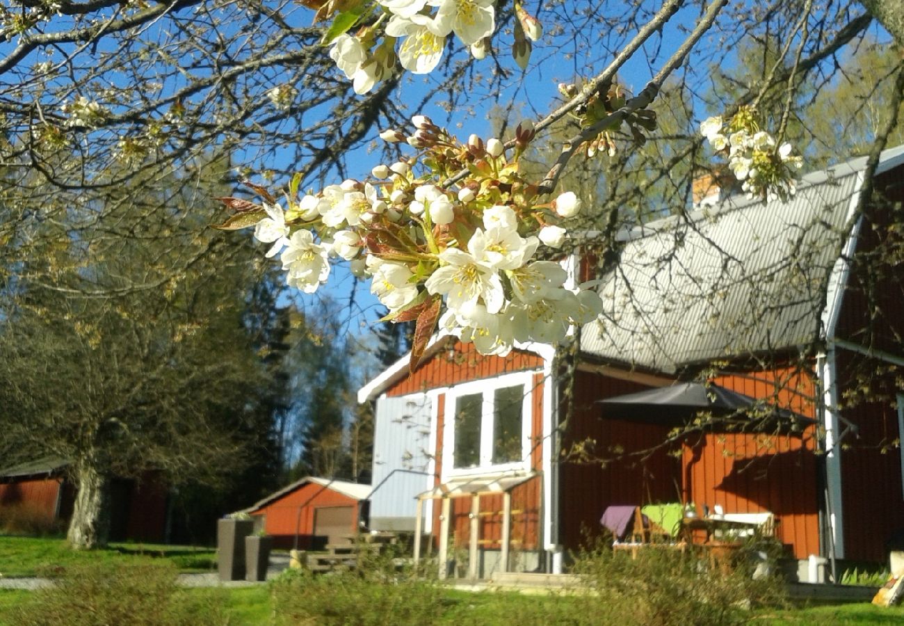 Stuga i Långasjö - Skogsgård Sibbahultsmåla