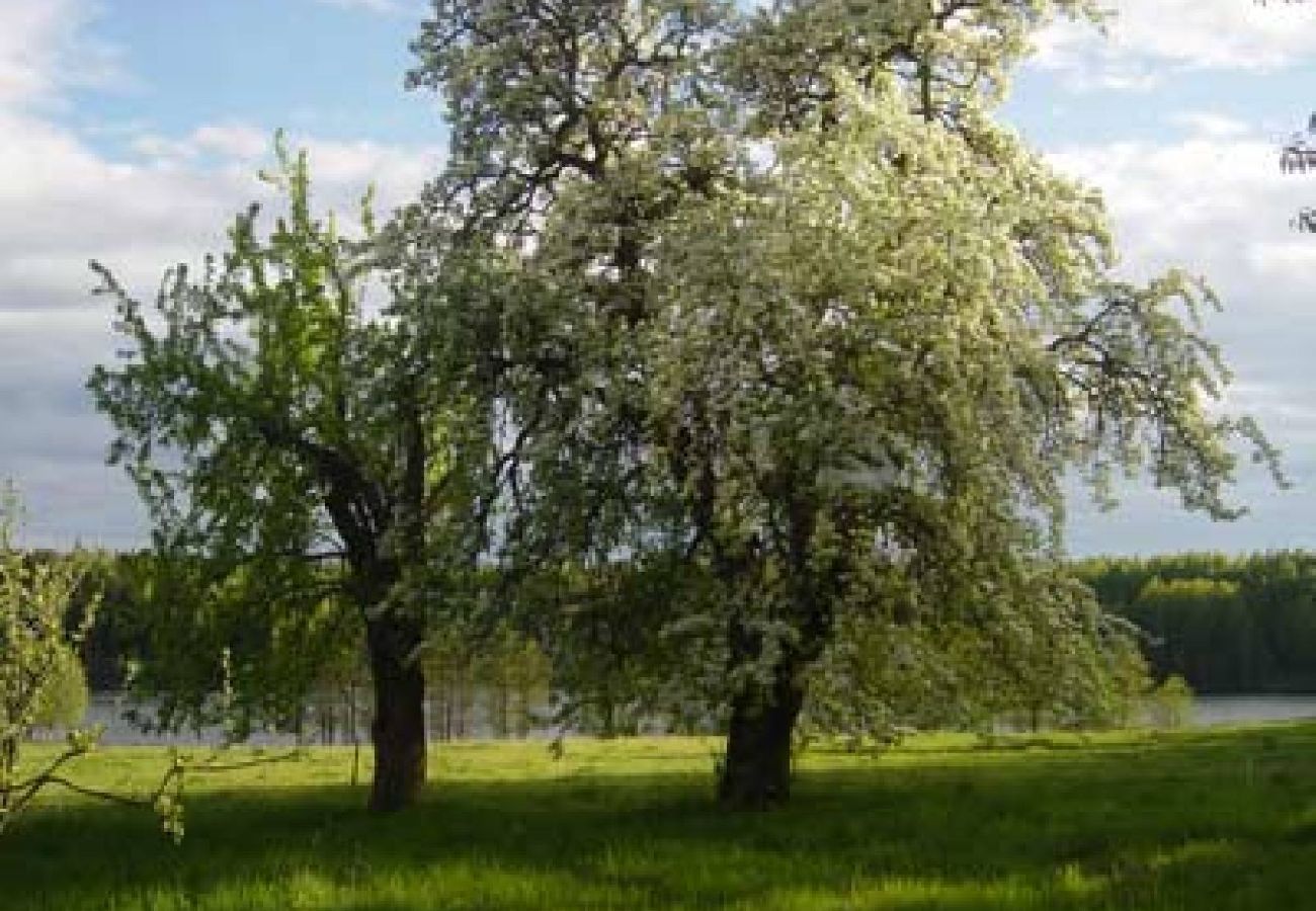 Stuga i Stjärnhov - Avskilt vid en idyllisk skogssjö