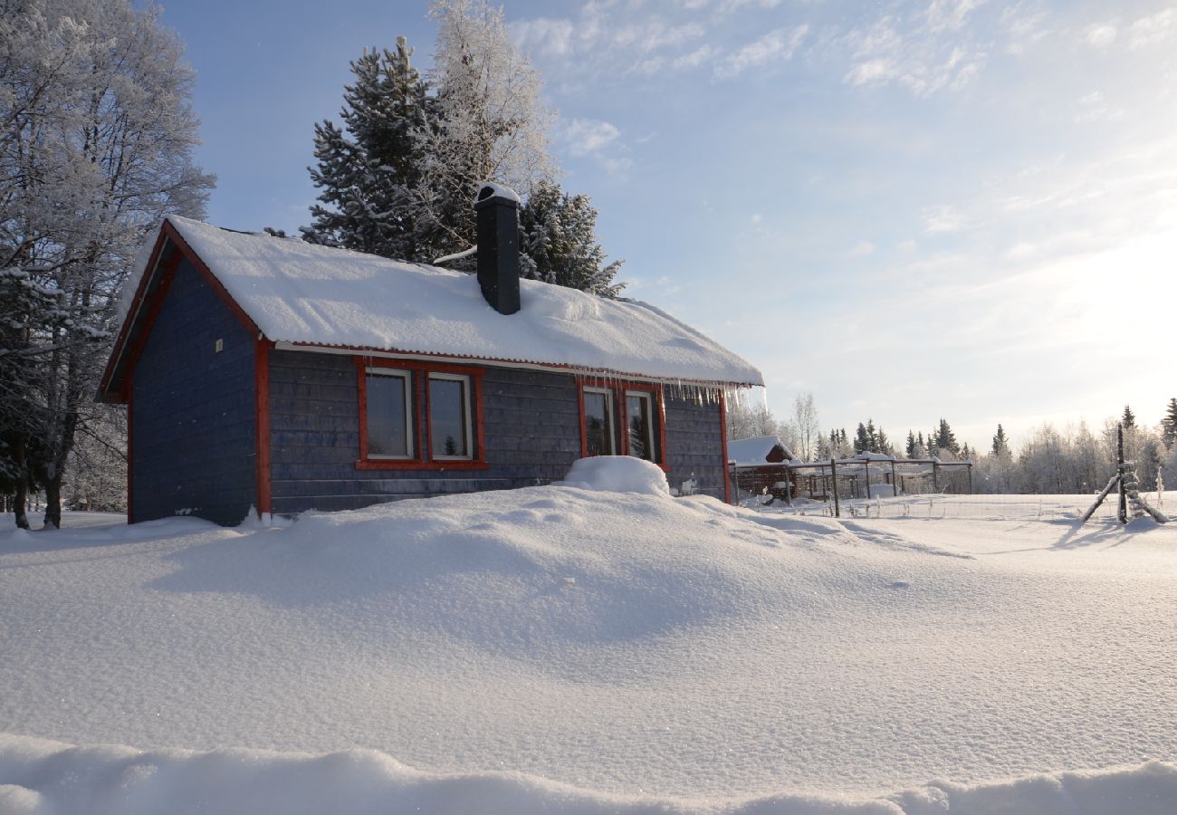 Stuga i Föllinge - Semester på en huskygård i Jämtlands vildmark