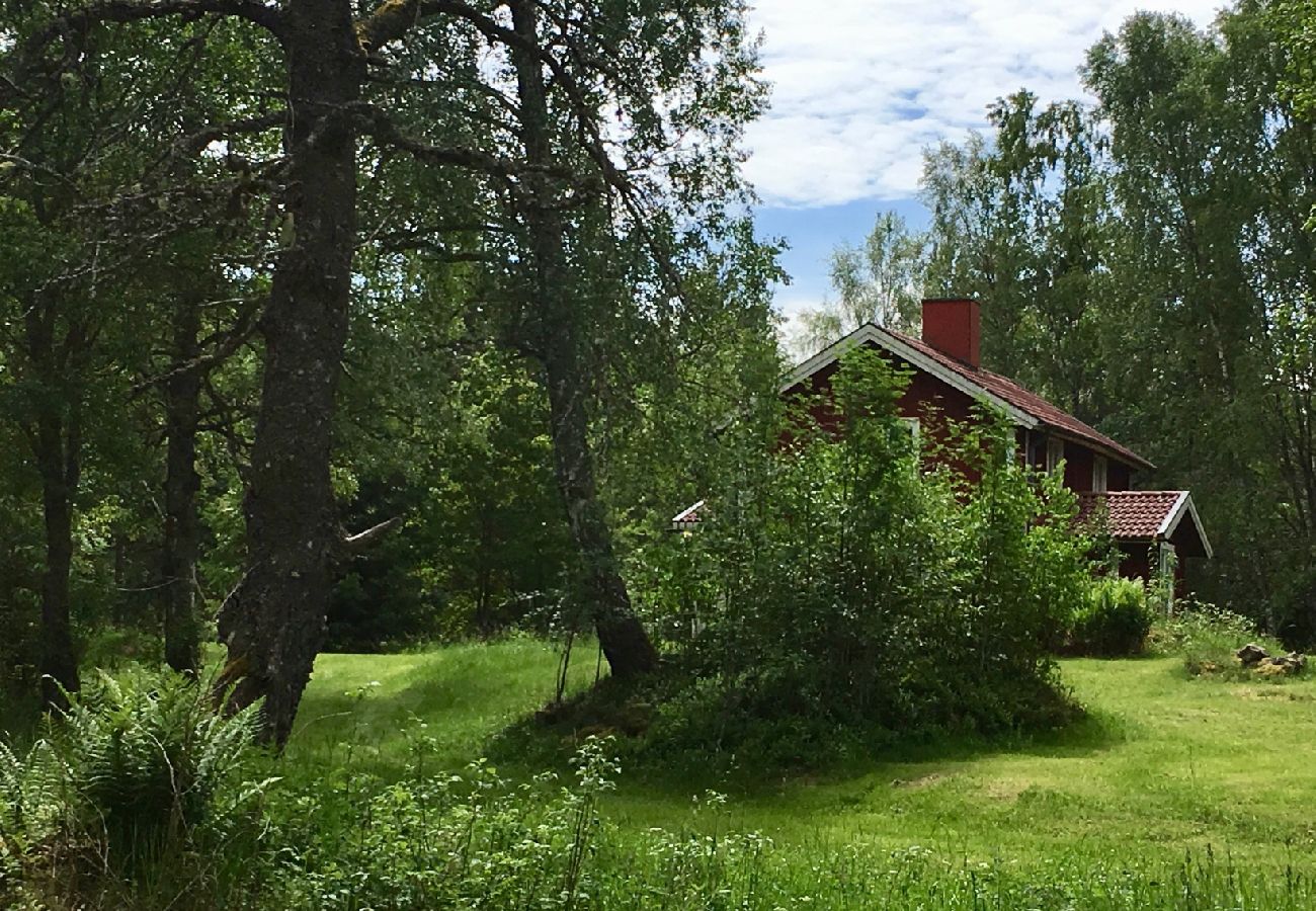 Stuga i Sävsjöström - Semester i avskilt läge mitt i skogen med bastu och kanot