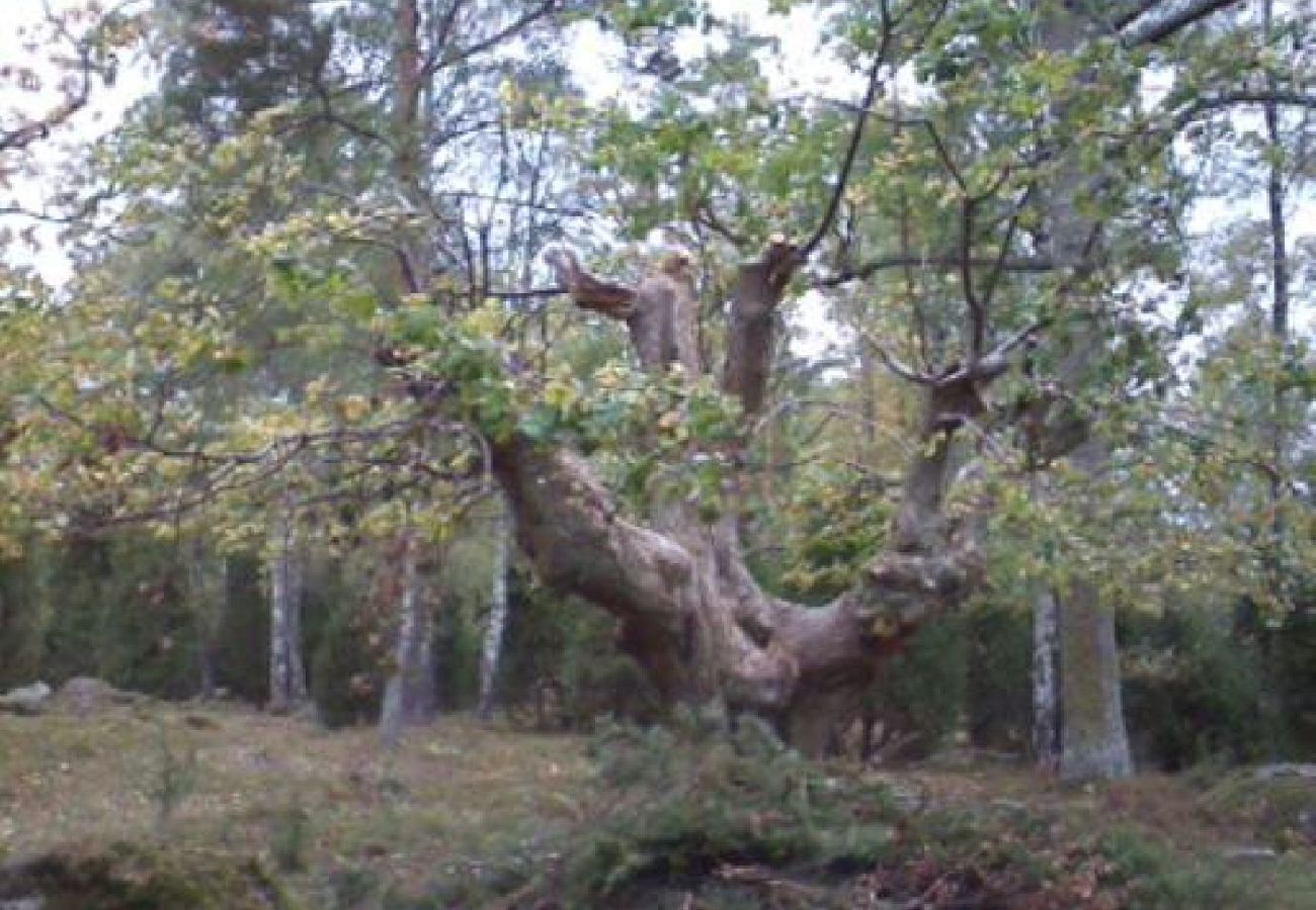 Stuga i Ruda - Mysigt fritidshus i utkanten av skogen nära Högsby