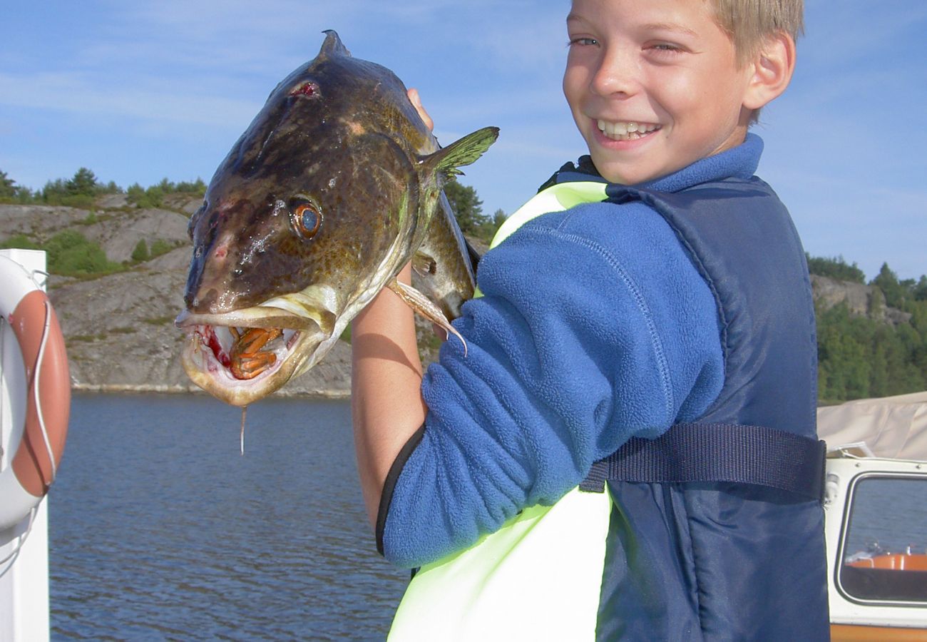 Stuga i Uddevalla - Högklassigt skärgårdshus vid havet i söderläge på Västkusten