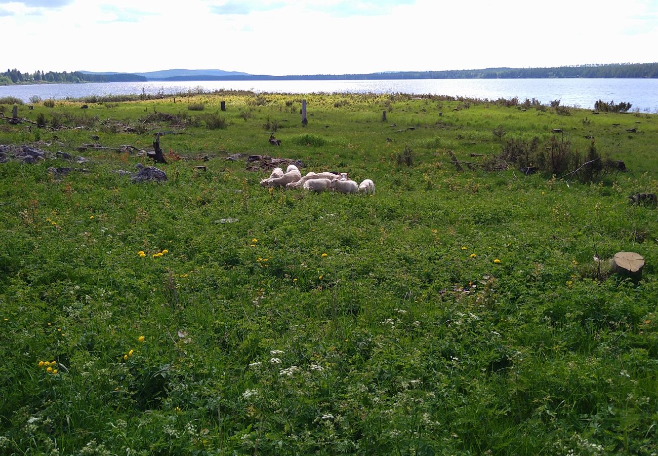 Stuga i Överkalix - mysig stuga vid sjön nära Överkalix