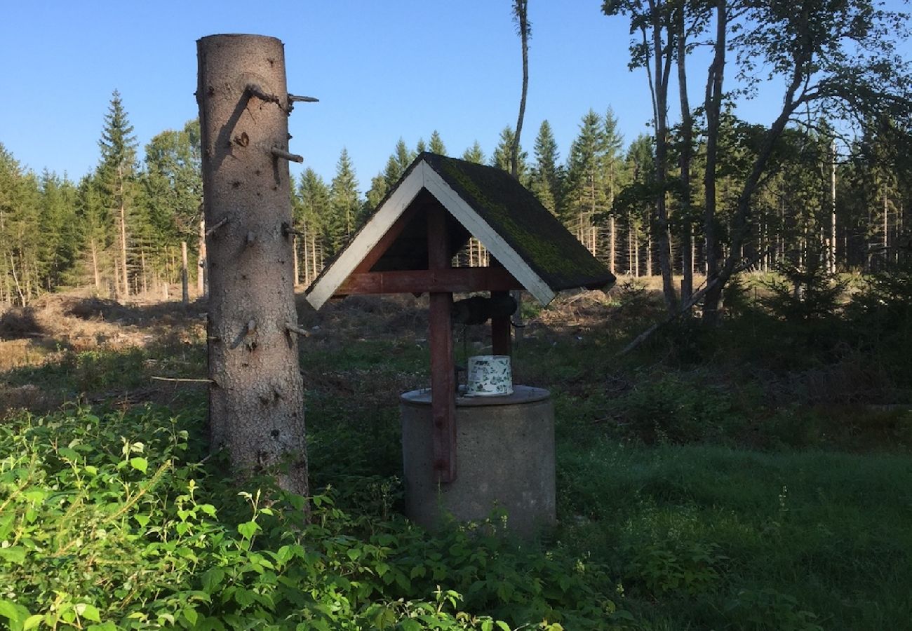 Stuga i Hovmantorp - I Smålands djupa skogar