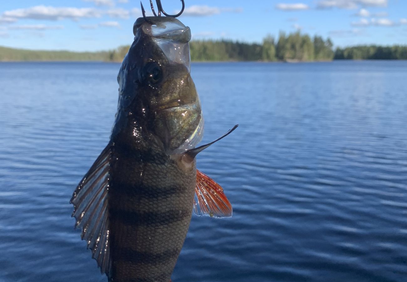 Stuga i Norrhult - Fint fritidshus i det småländska glasriket med egen båt