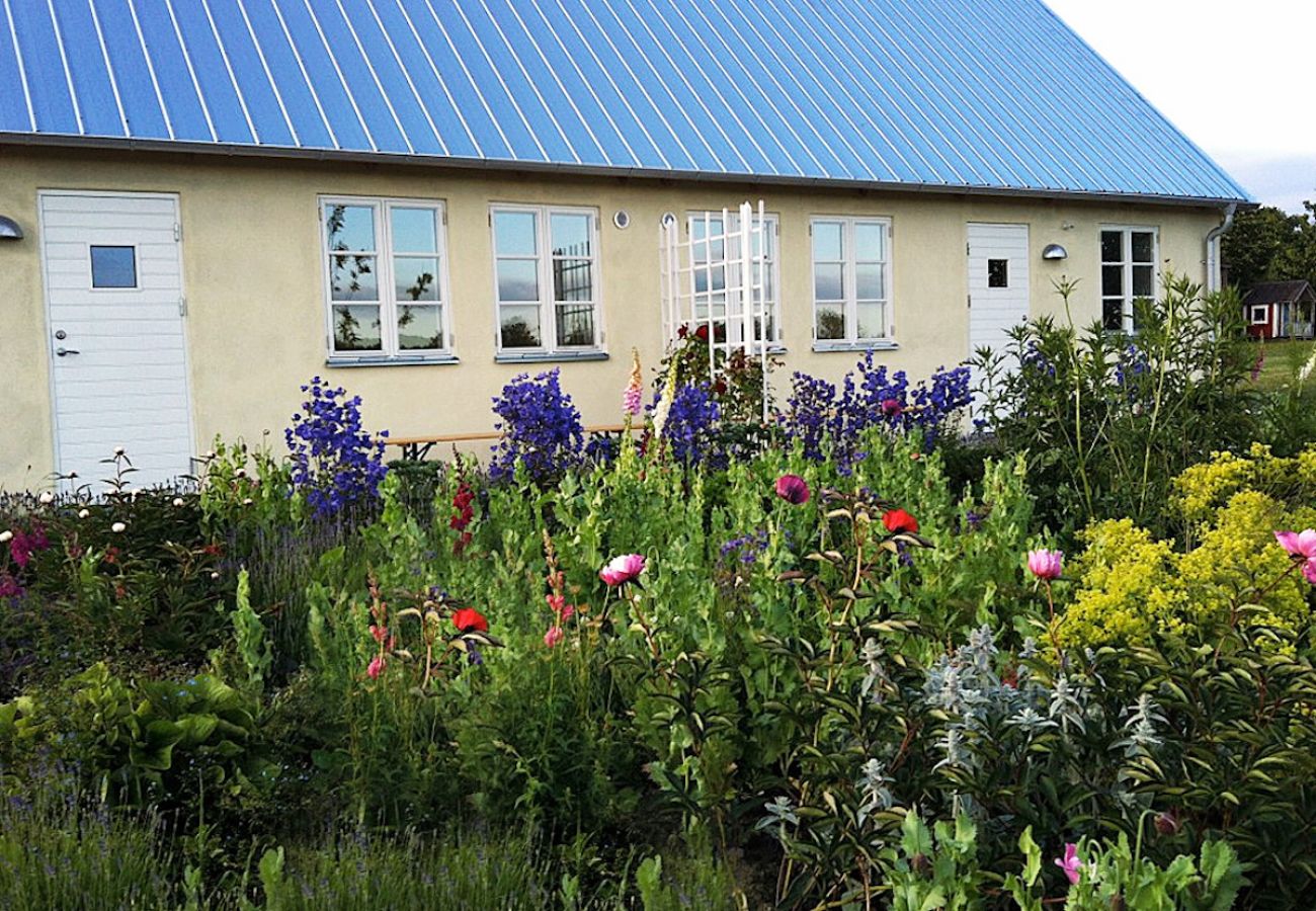 Stuga i Kivik - Semester vid Stenshuvuds nationalpark på Österlen