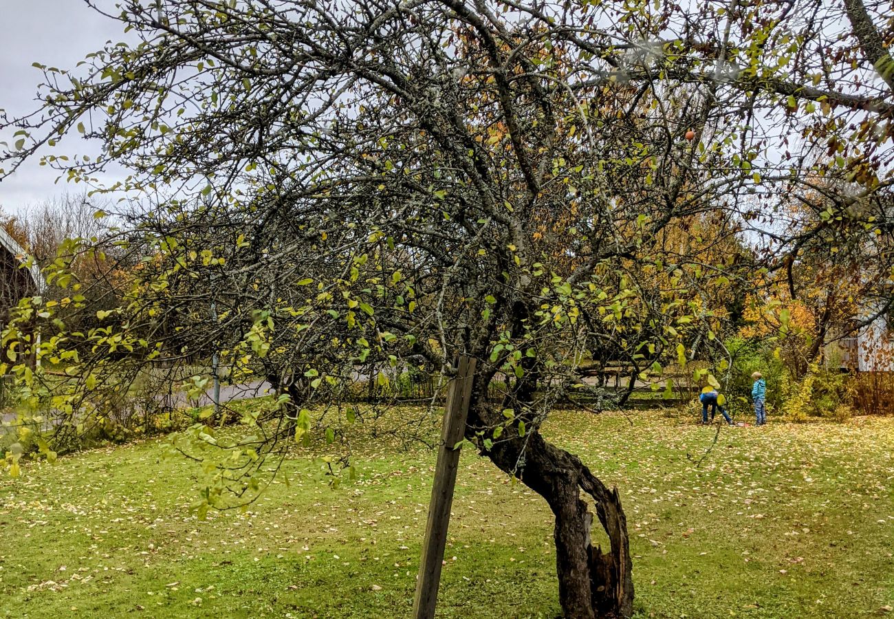 Stuga i Mörlunda - Fin villa med egen fruktträdgård i Småland