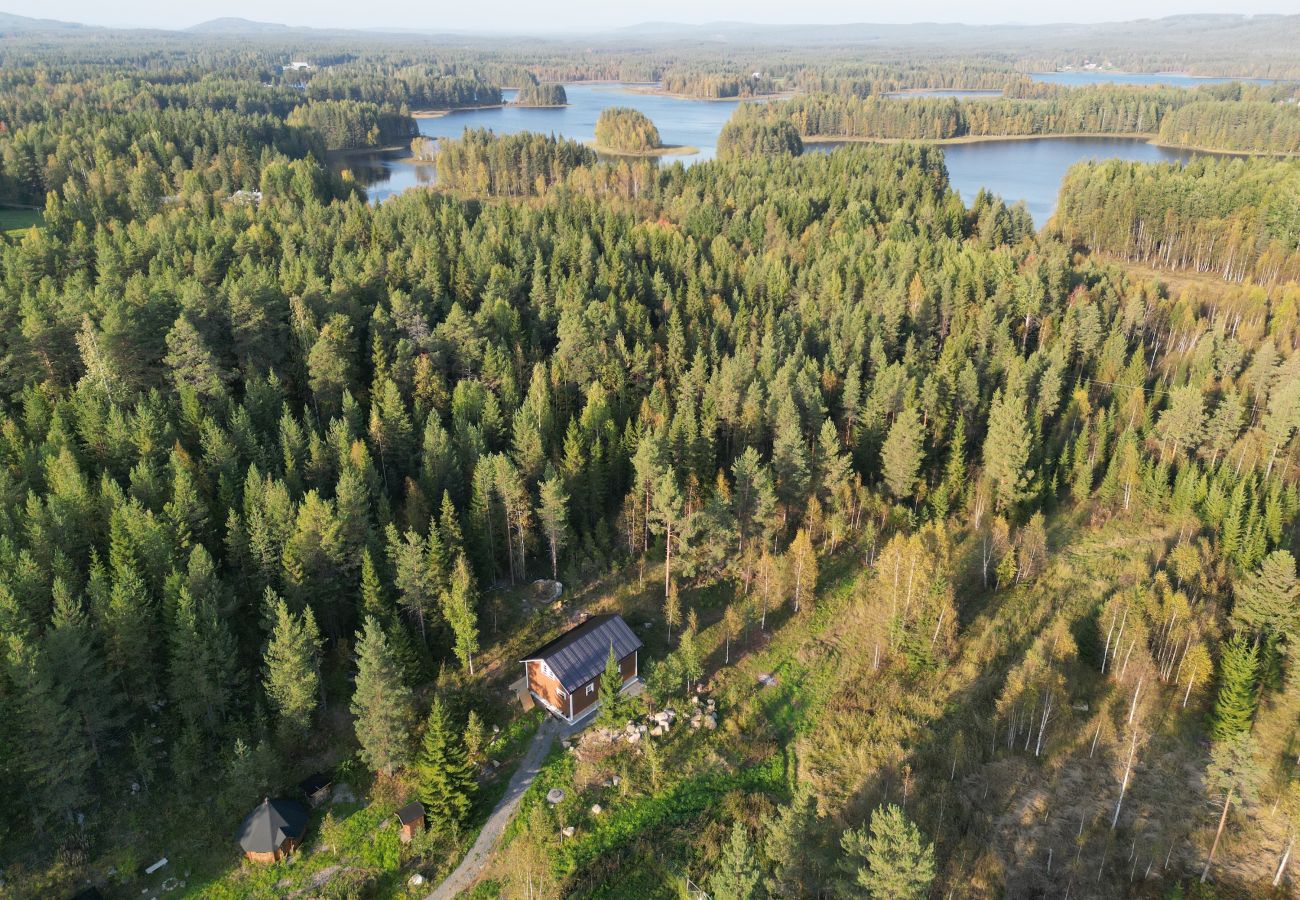 Stuga i Gunnarsbyn - Norrlandssemester mitt i skogen med norrsken och hundspann