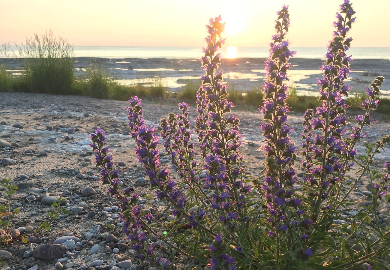 Stuga i Löttorp - Underbar stugsemester vid havet på Öland i Byxelkrok