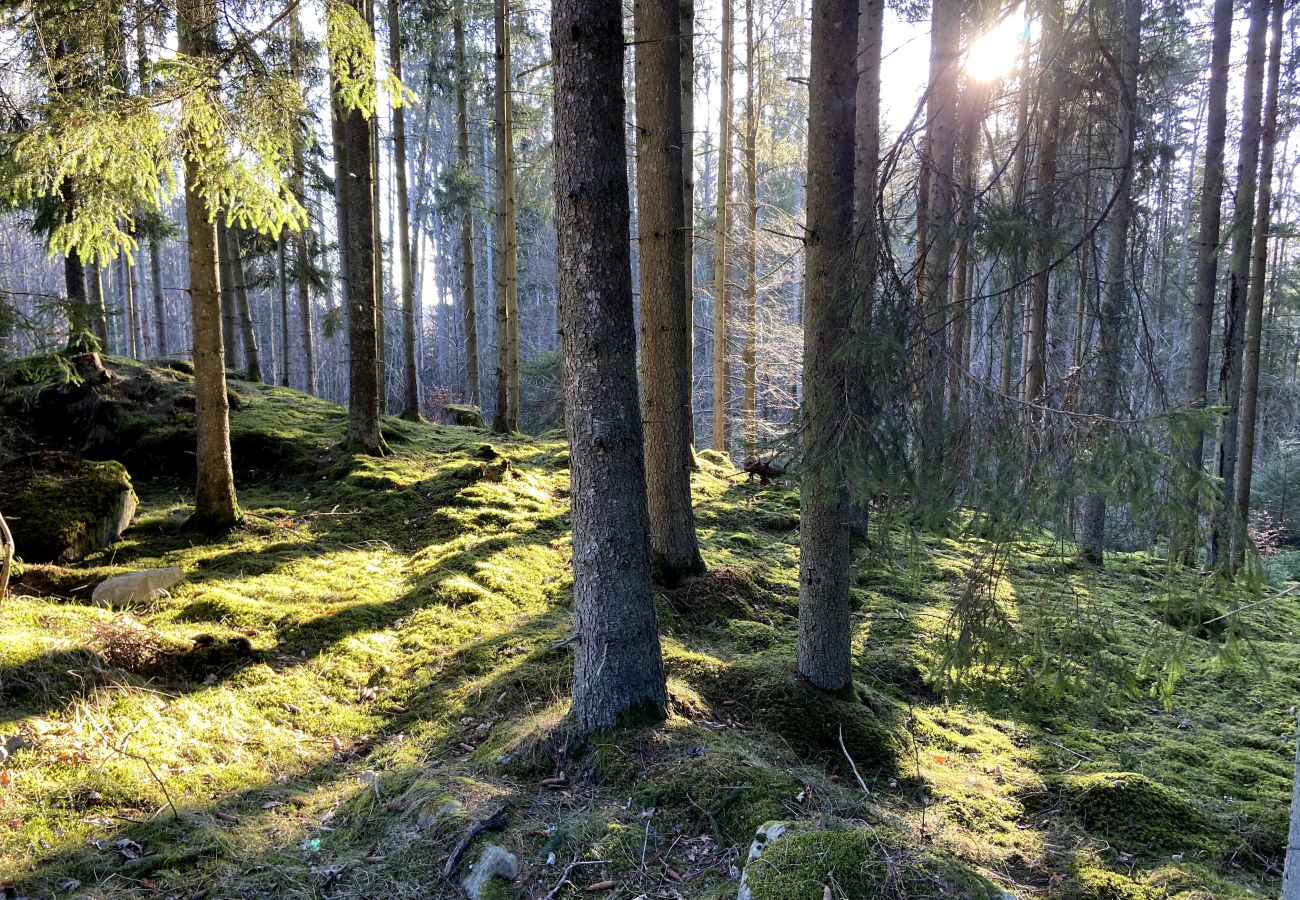 Stuga i Hallaryd - Kärleksfullt restaurerad gammal skola med egen bastu